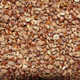 Healthy Millets